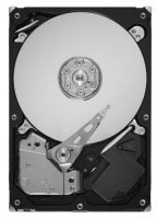 Seagate ST2000DL003